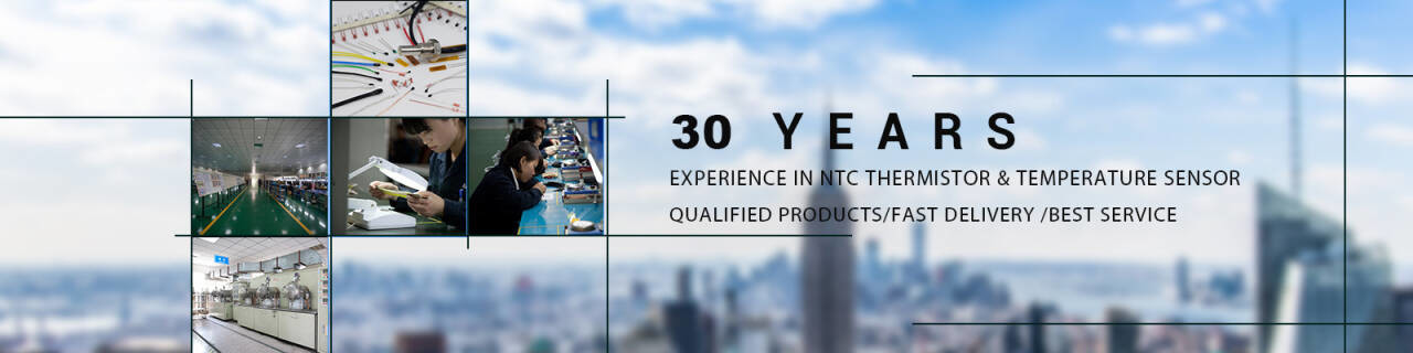 정밀도 NTC 서미스터